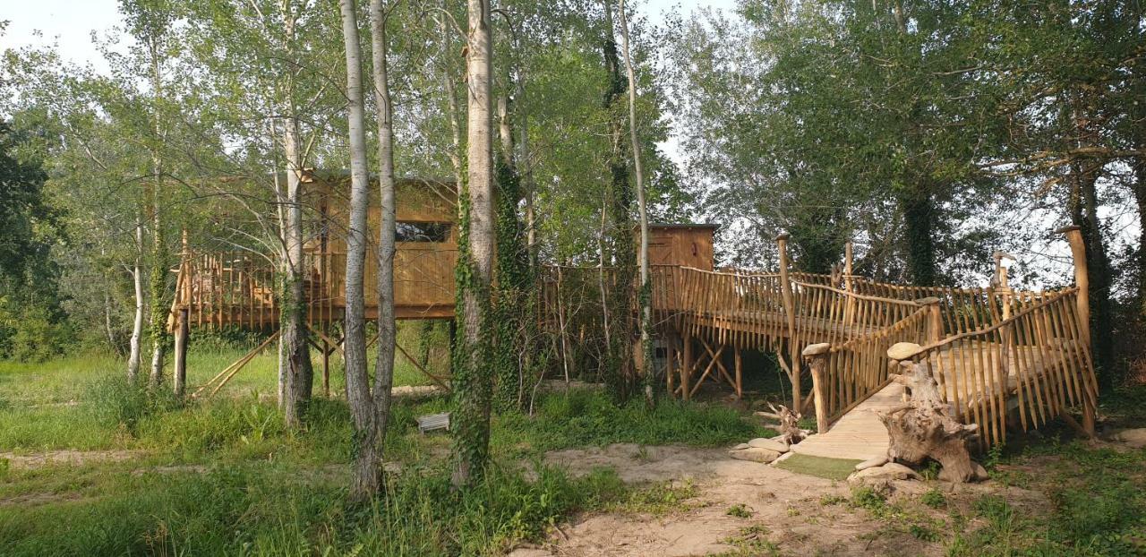 La Cabane Perchee Villelaure Dış mekan fotoğraf